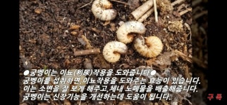 추월산굼벵이농장