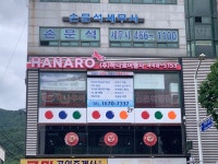 하나로여행사