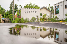 스테이비
