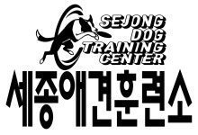 세종애견훈련소