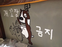 올래pc방