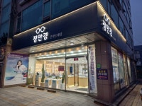 정안경