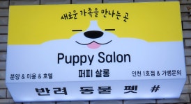 퍼피살롱