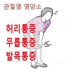 세종약국