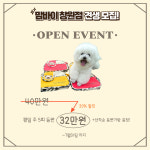 창원애견호텔 강아지유치원 애견미용 맘바이 창원점
