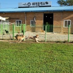 세종애견훈련소