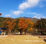 봉강하조오토캠핑장