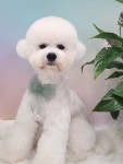 와와살롱