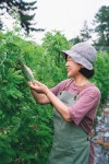 야곱의 꿈 농장