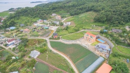 팽나무 단체 펜션