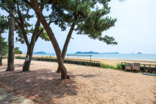 한마음펜션캠핑장