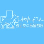 광교호수동물병원
