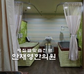 안채영한의원