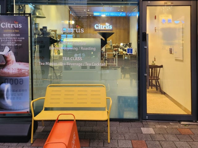시트러스 마곡본점