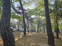 후평숲캠핑장