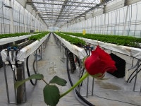 건주랑체험농장