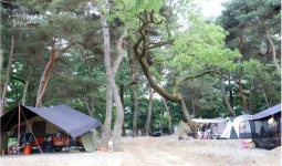 후평숲캠핑장