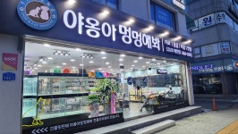 야옹아멍멍해봐 제천점