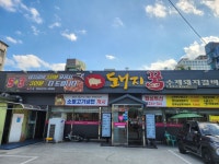돼지꿈