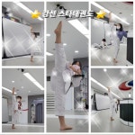 강선 스타태권도