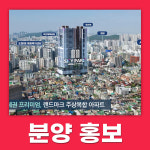 새늘컴퍼니