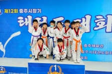 푸른태권도