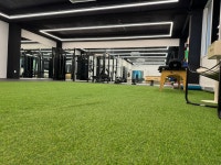 THE 건강한 GYM