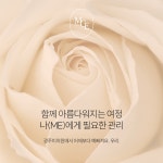 광주 미의원