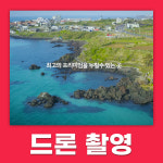 새늘컴퍼니