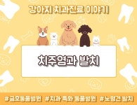 금호동물병원