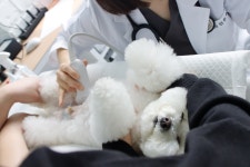 두카메디컬센터