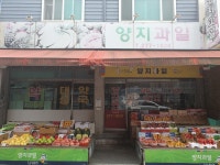 양지과일