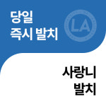 엘에이치과의원