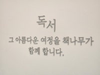 책나무 광주풍암점