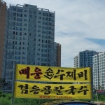 매운손수제비