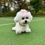 바우공방