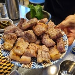 제주한라돼지