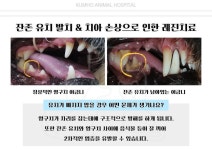 금호동물병원