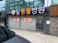 필동물병원