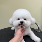 덤덤