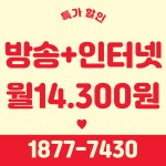 SK 티브로드 한빛방송 새한정보통신
