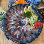 제주협재 바다해찬