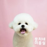 뭉치네 미용실