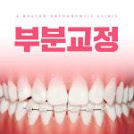 에스보스톤치과교정과치과의원