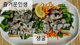 즐거운인생열시십분사십초 | 즐거운인생