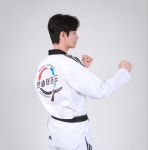 한솔태권도