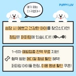 퍼피럽 강아지분양 고양이분양 군산본점