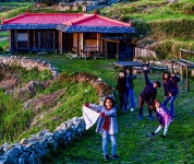 청산빌리지펜션