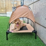 호다다 애견 호텔