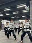 트리플제이태권도